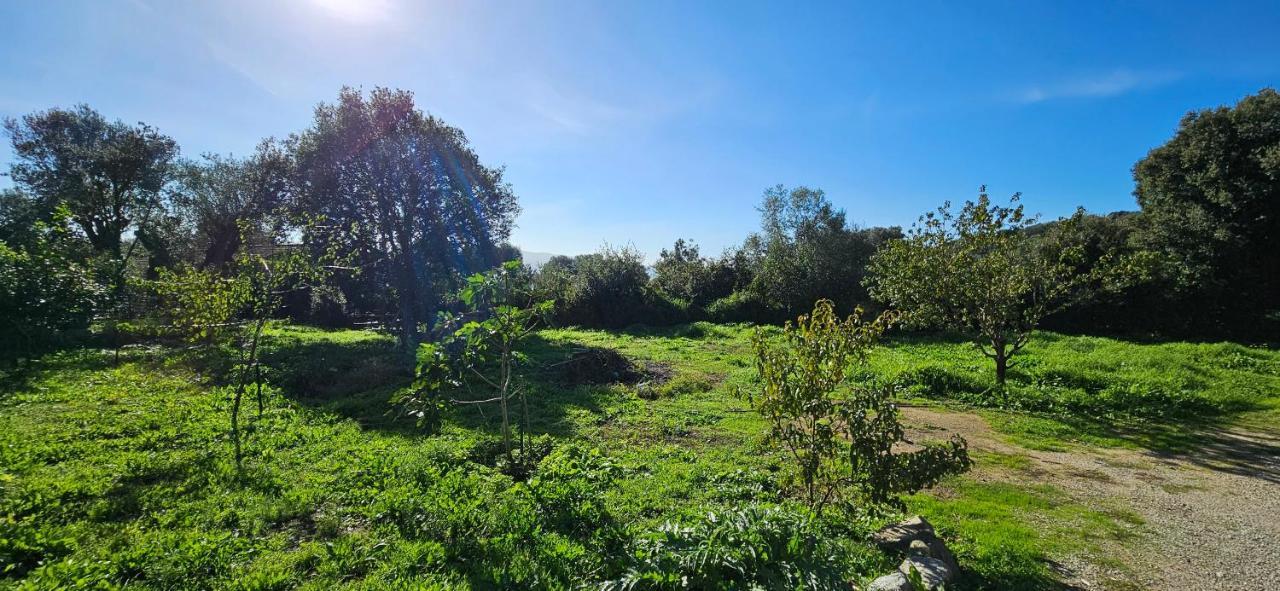 T3 Paisible Quartier Vigna Maggiore, Olmeto Apartment Olmeto (Corsica)