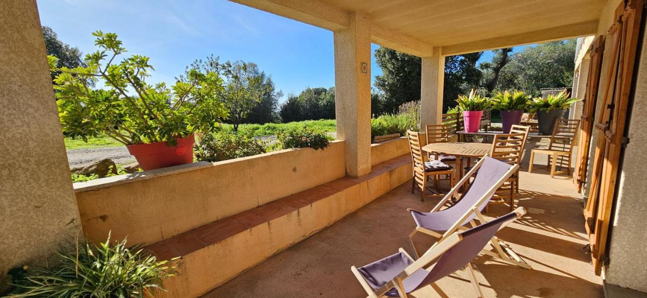 T3 Paisible Quartier Vigna Maggiore, Olmeto Olmeto (Corsica)
